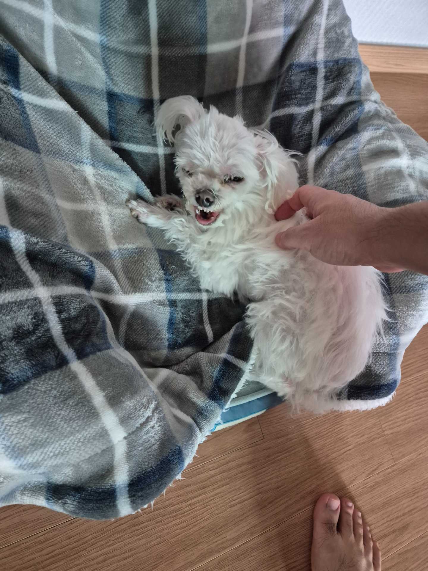 상품 이미지 2