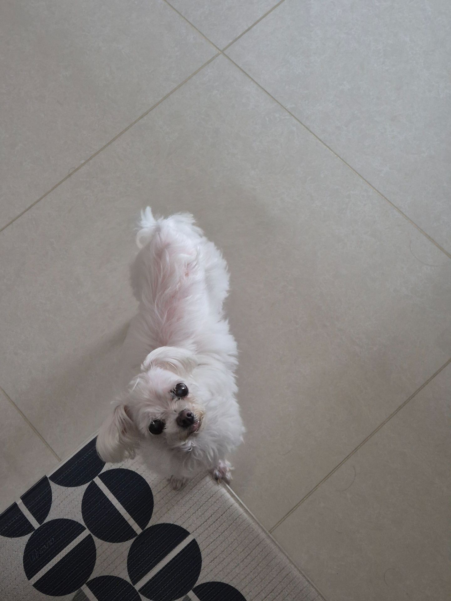 Test